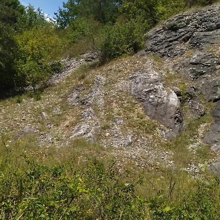 Koos Vendeghaz ゲストハウス