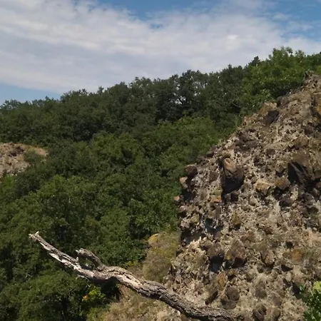 ゲストハウス Koos Vendeghaz