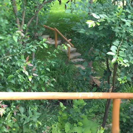 Koos Vendeghaz 3* Uppony