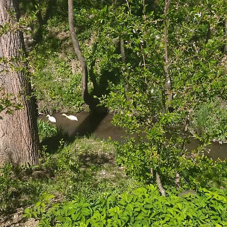 Koos Vendeghaz ゲストハウス Uppony