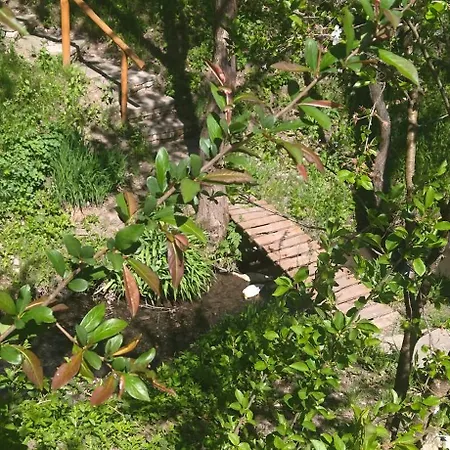 Koos Vendeghaz ゲストハウス